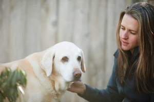 Senior Dogs and Raw Diet: The Life-Changing Benefits of Making the Switch